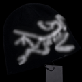 ARCTRX BEANIE